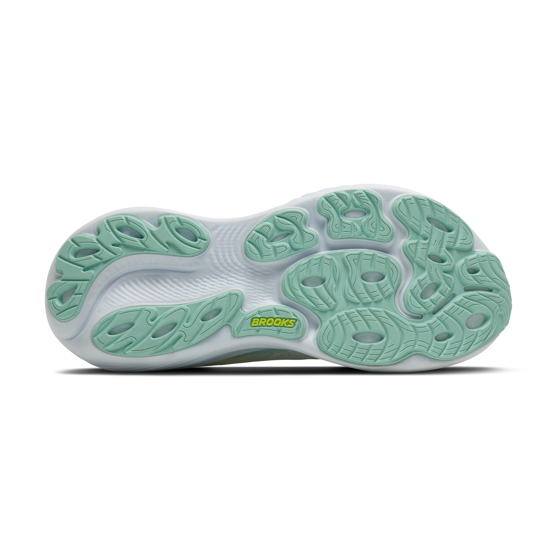 sole