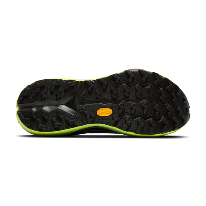 sole