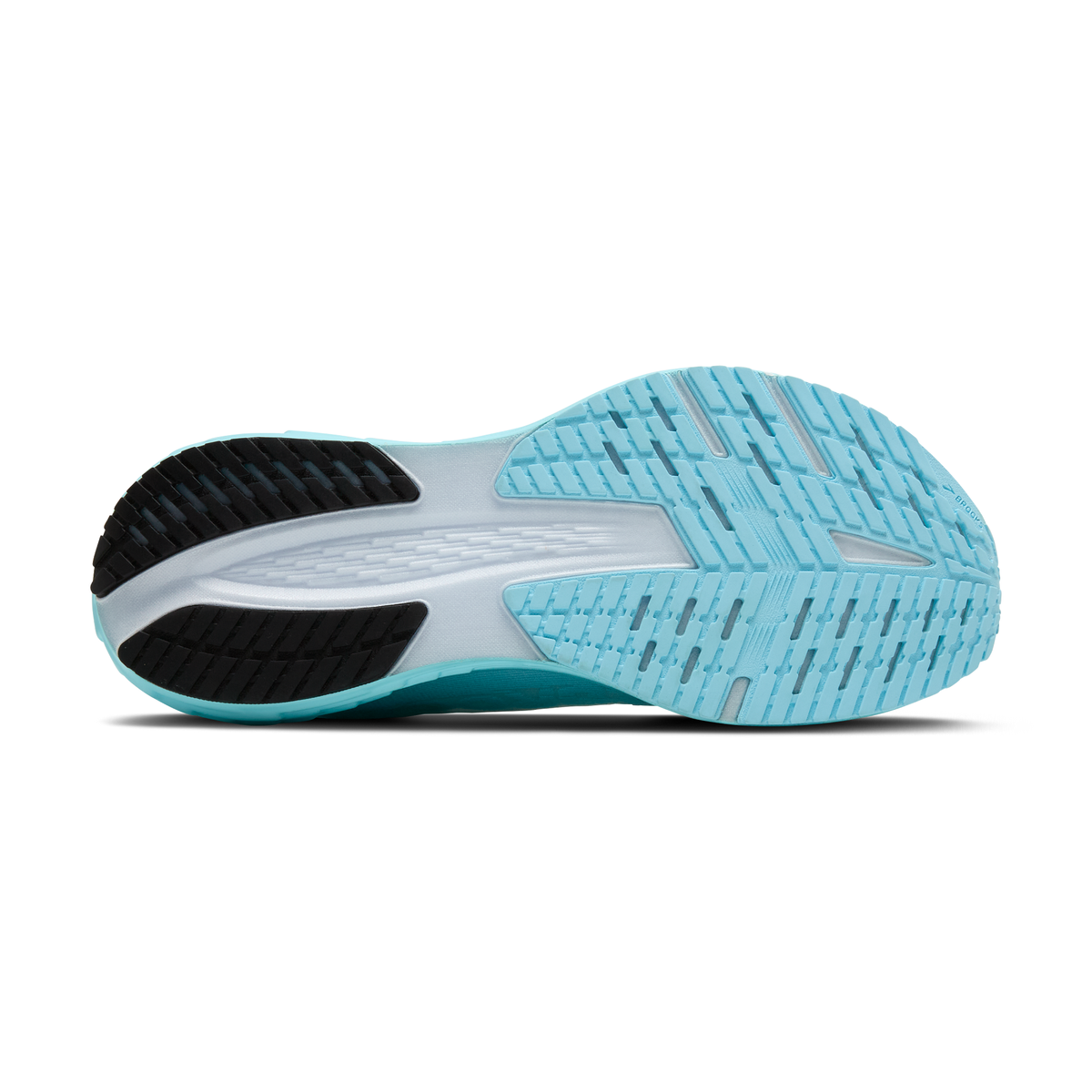 sole