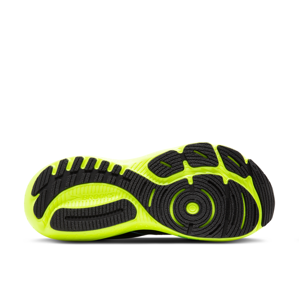 sole