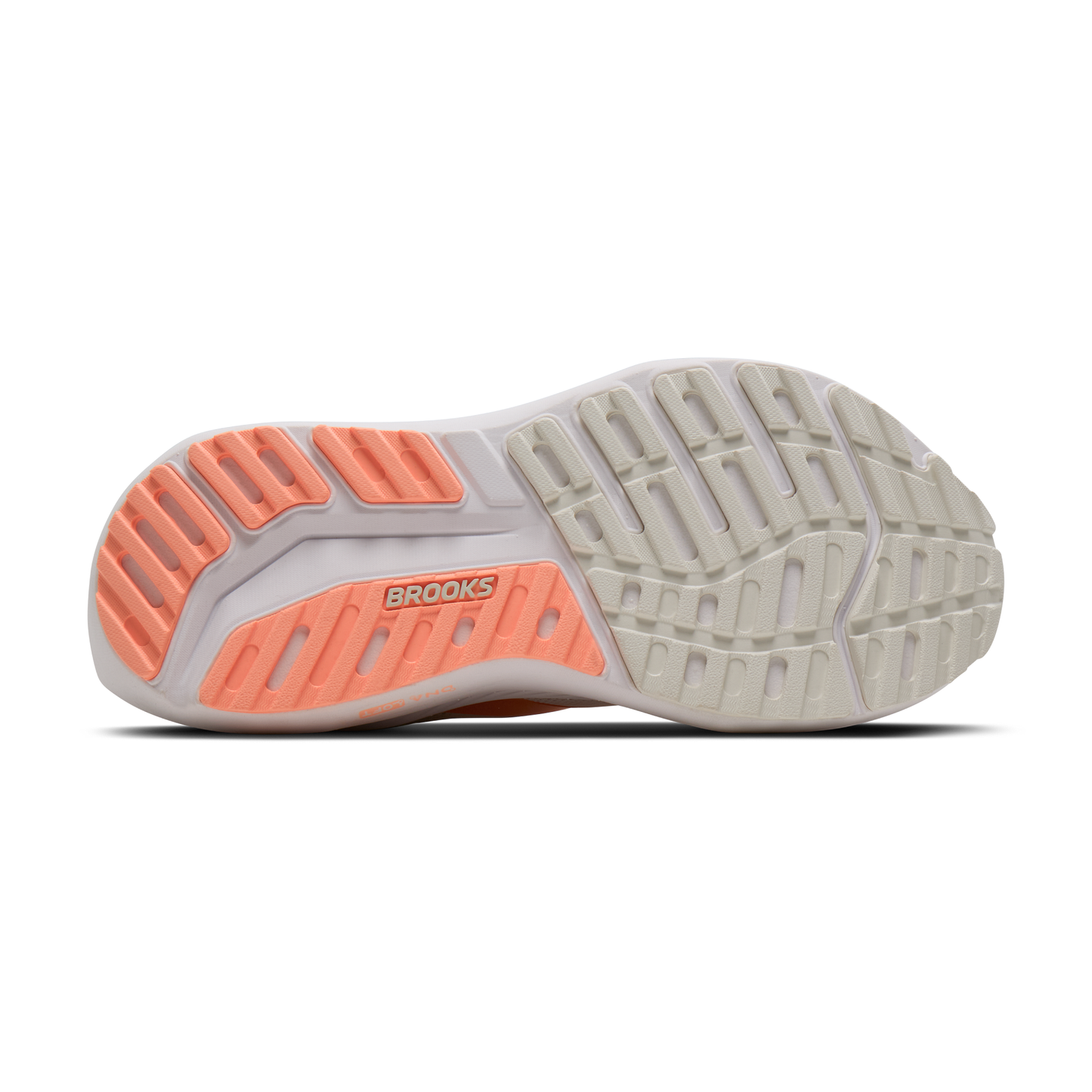 sole