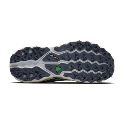 sole