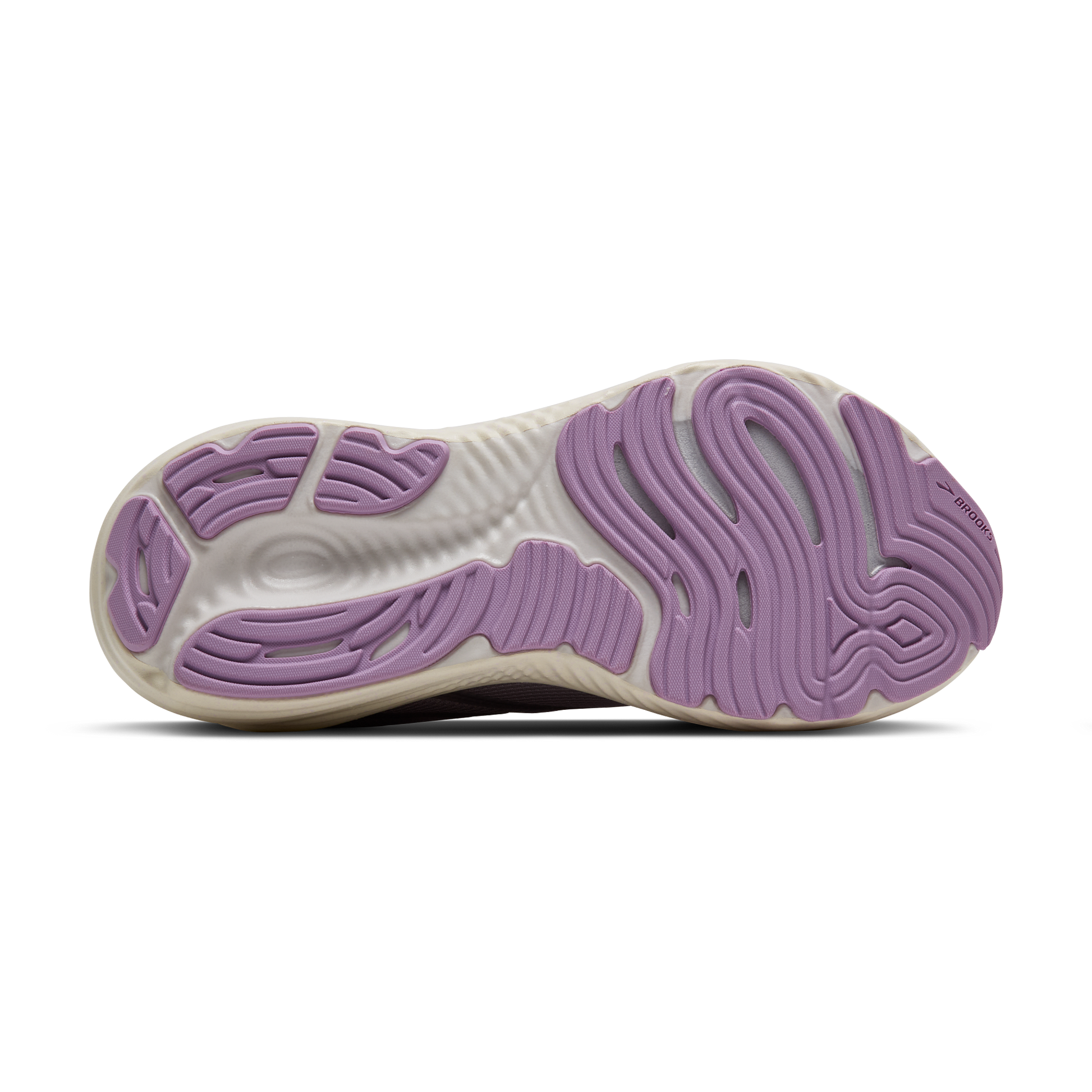 sole