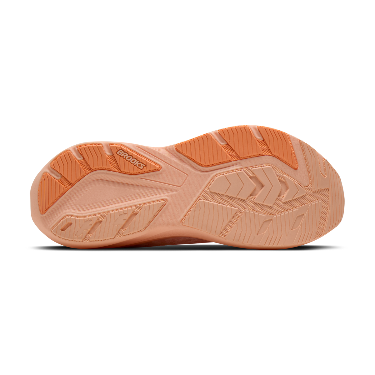 sole