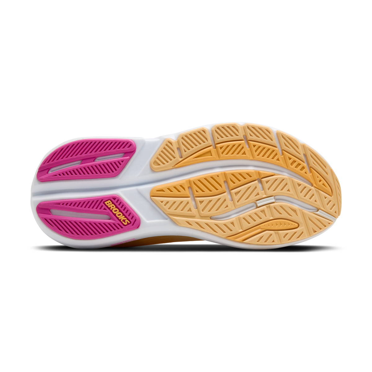 sole