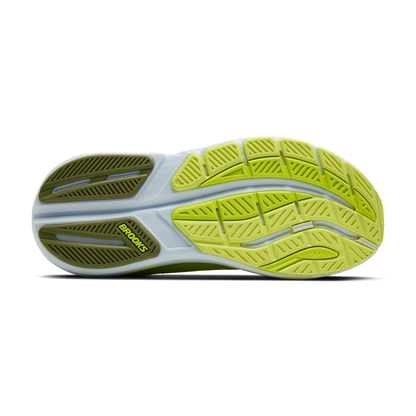 sole
