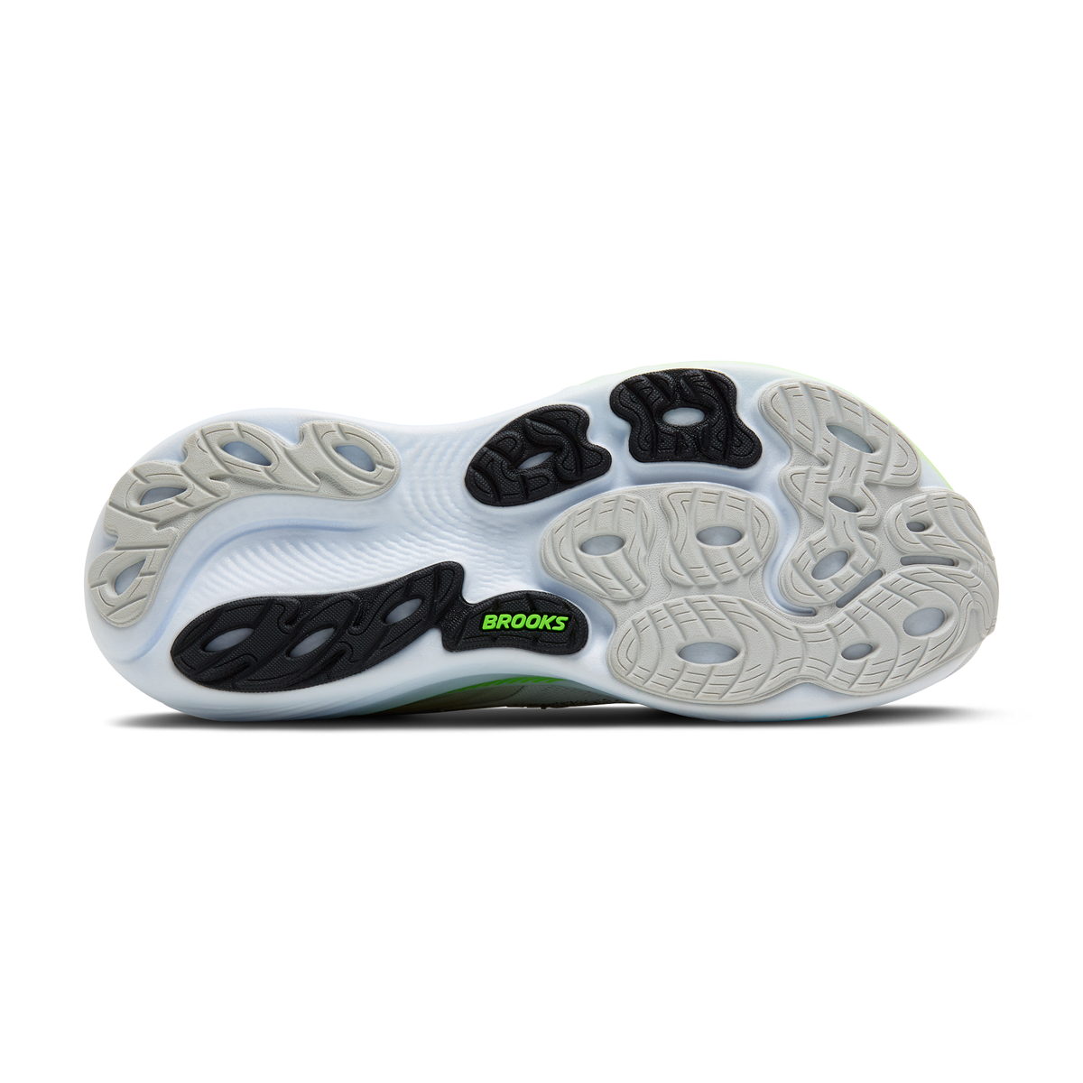 sole