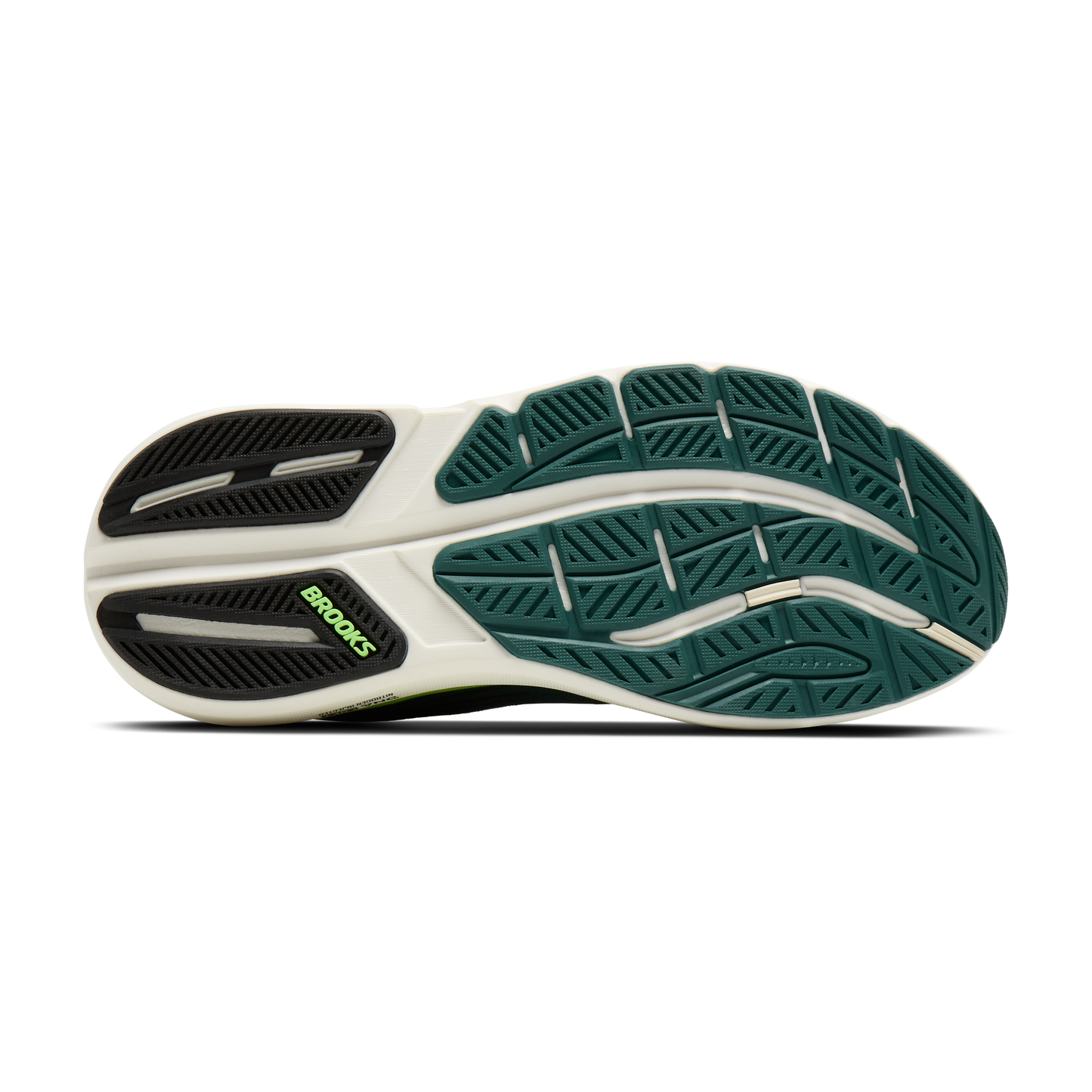 sole