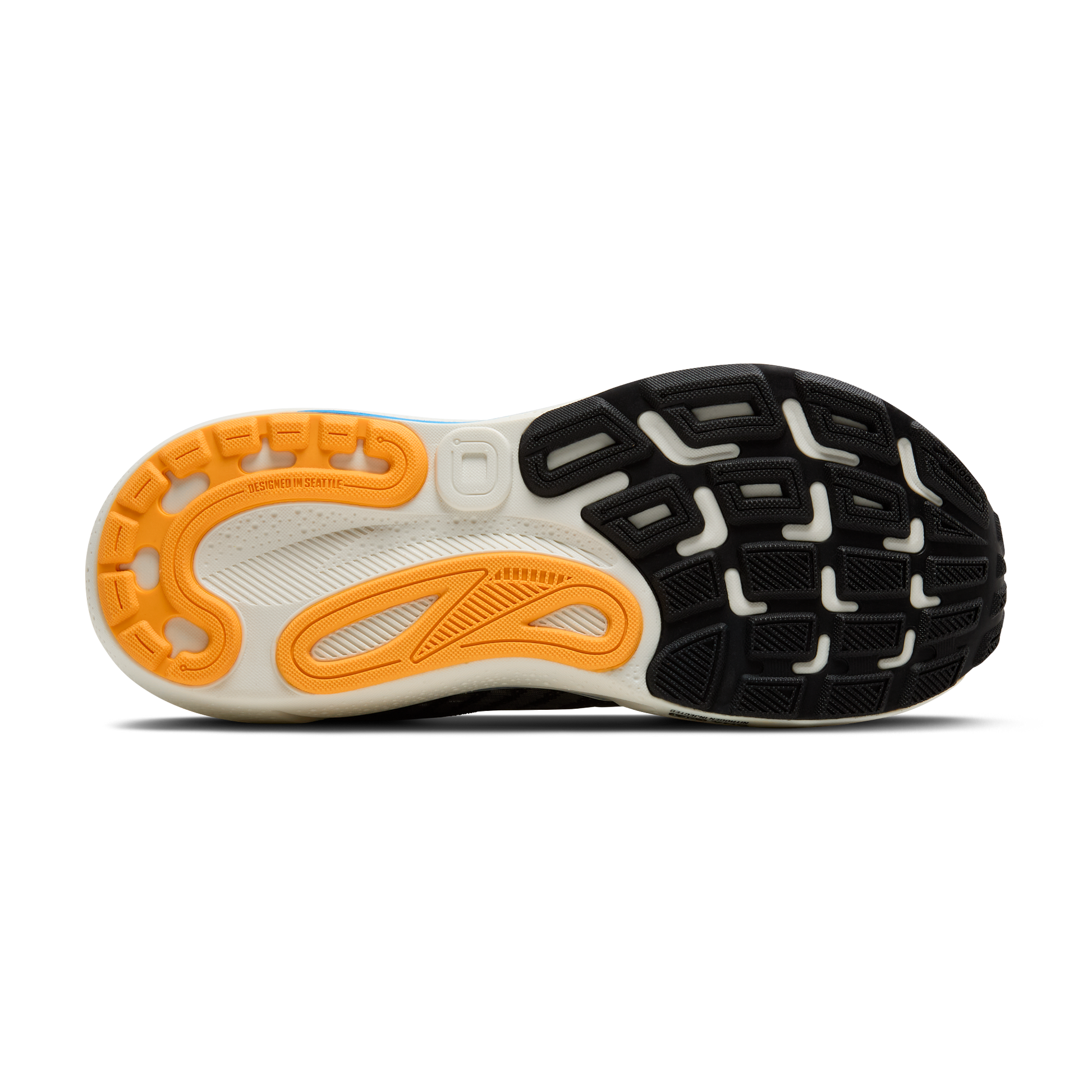 sole