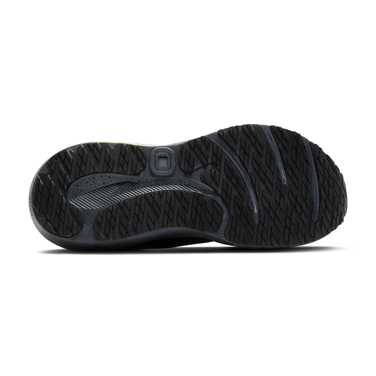 sole