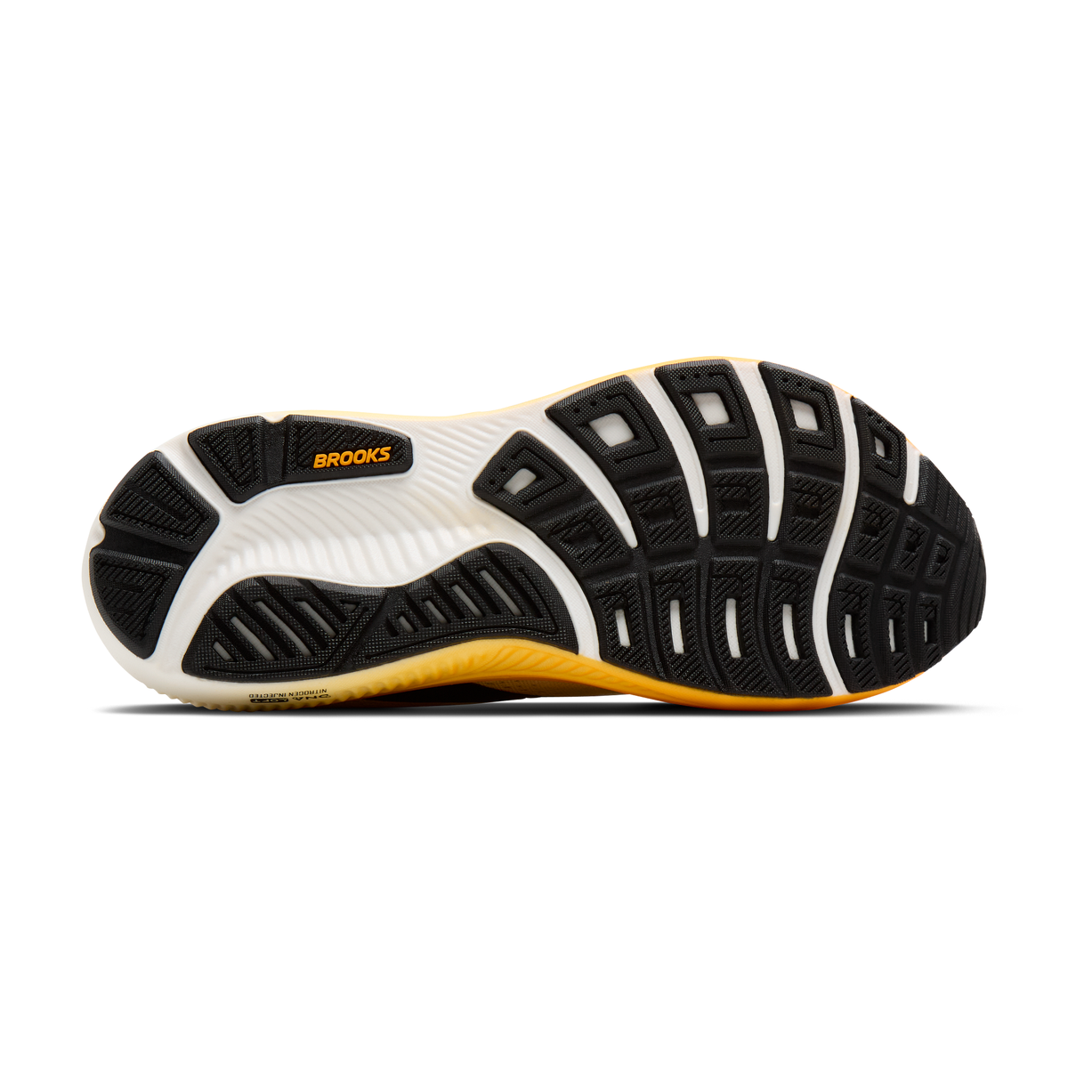 sole