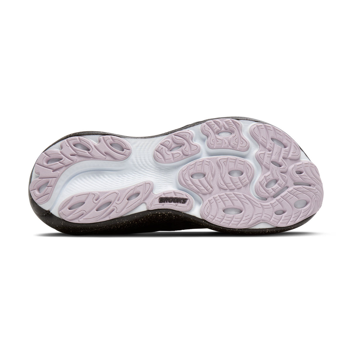 sole
