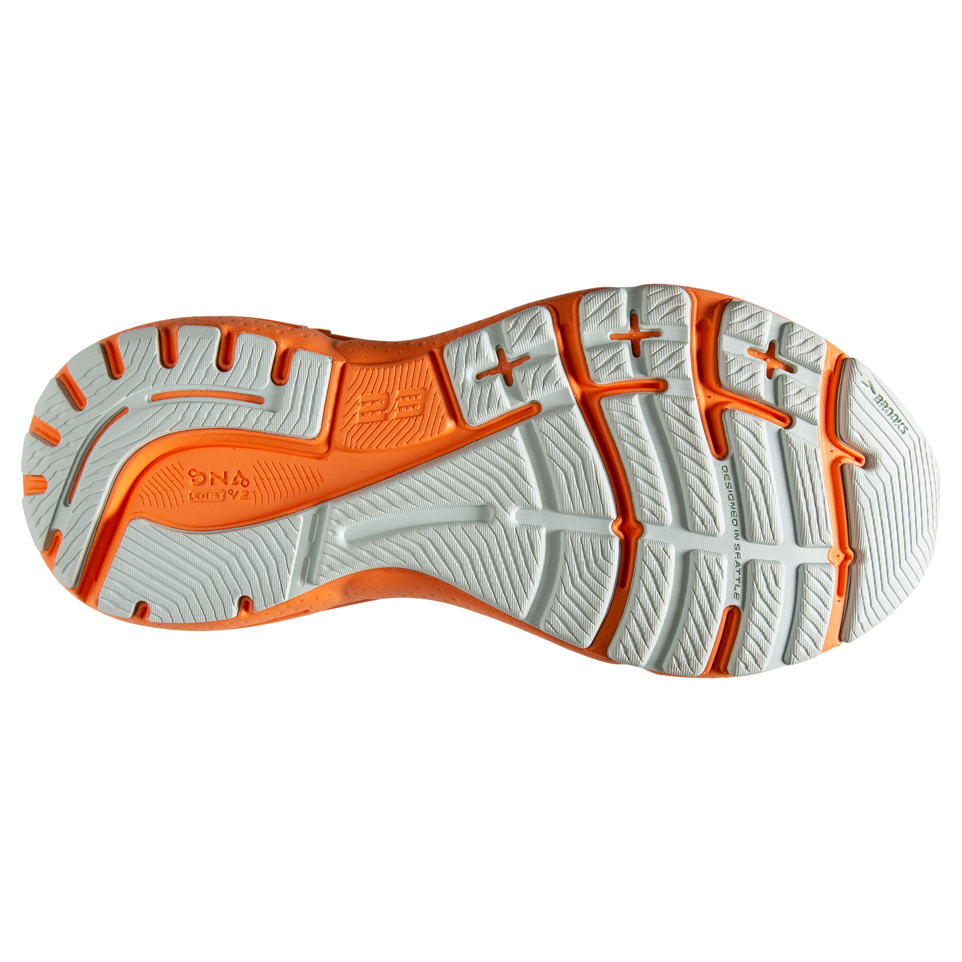 sole