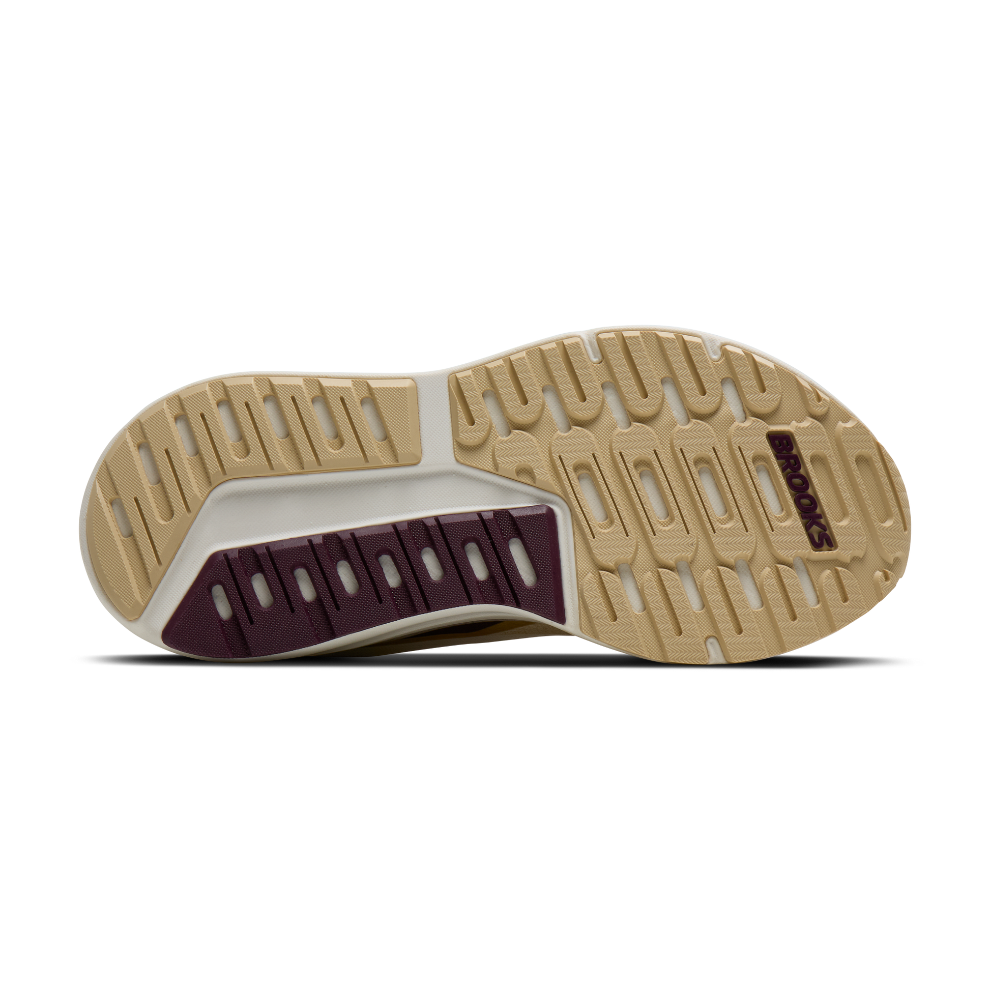 sole