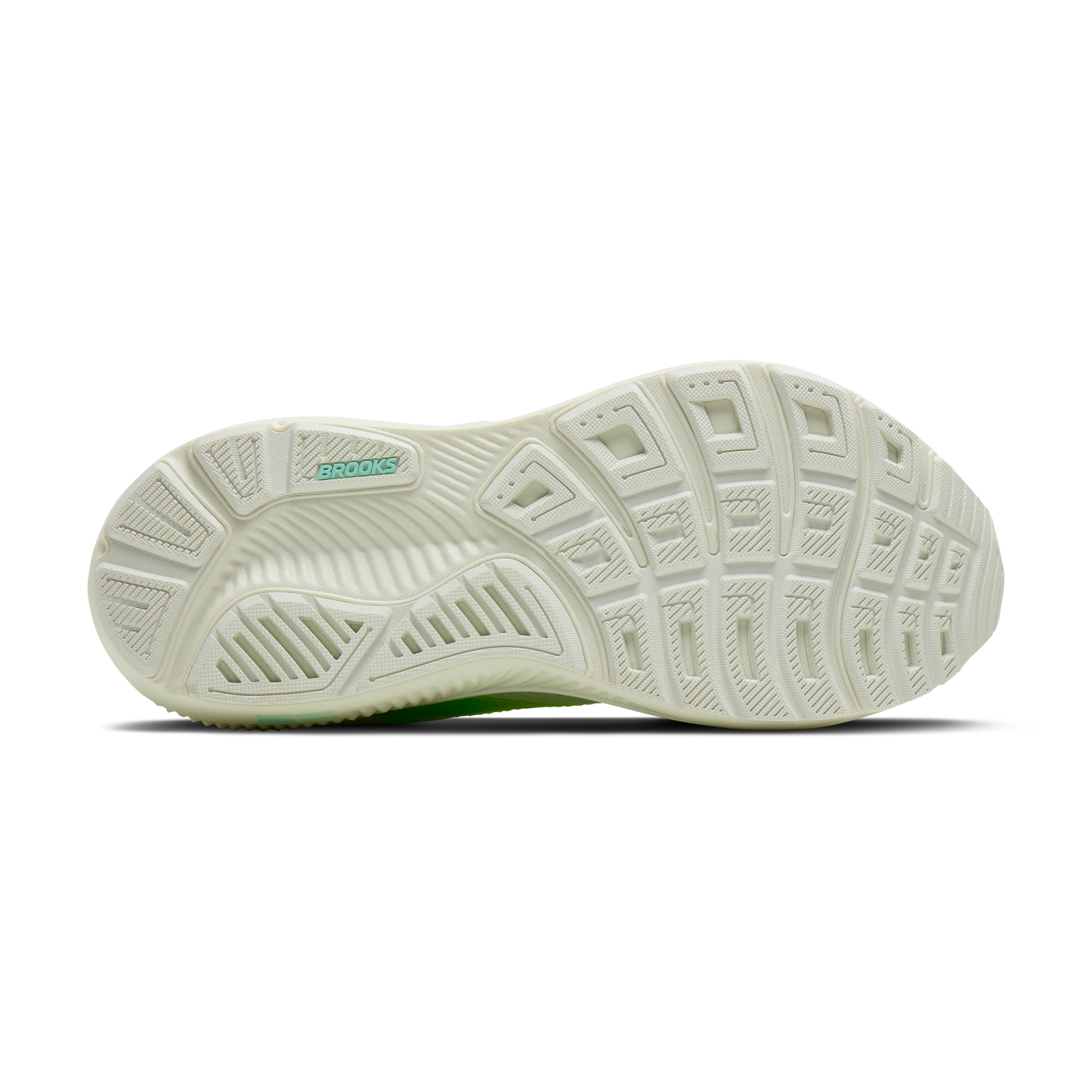 sole