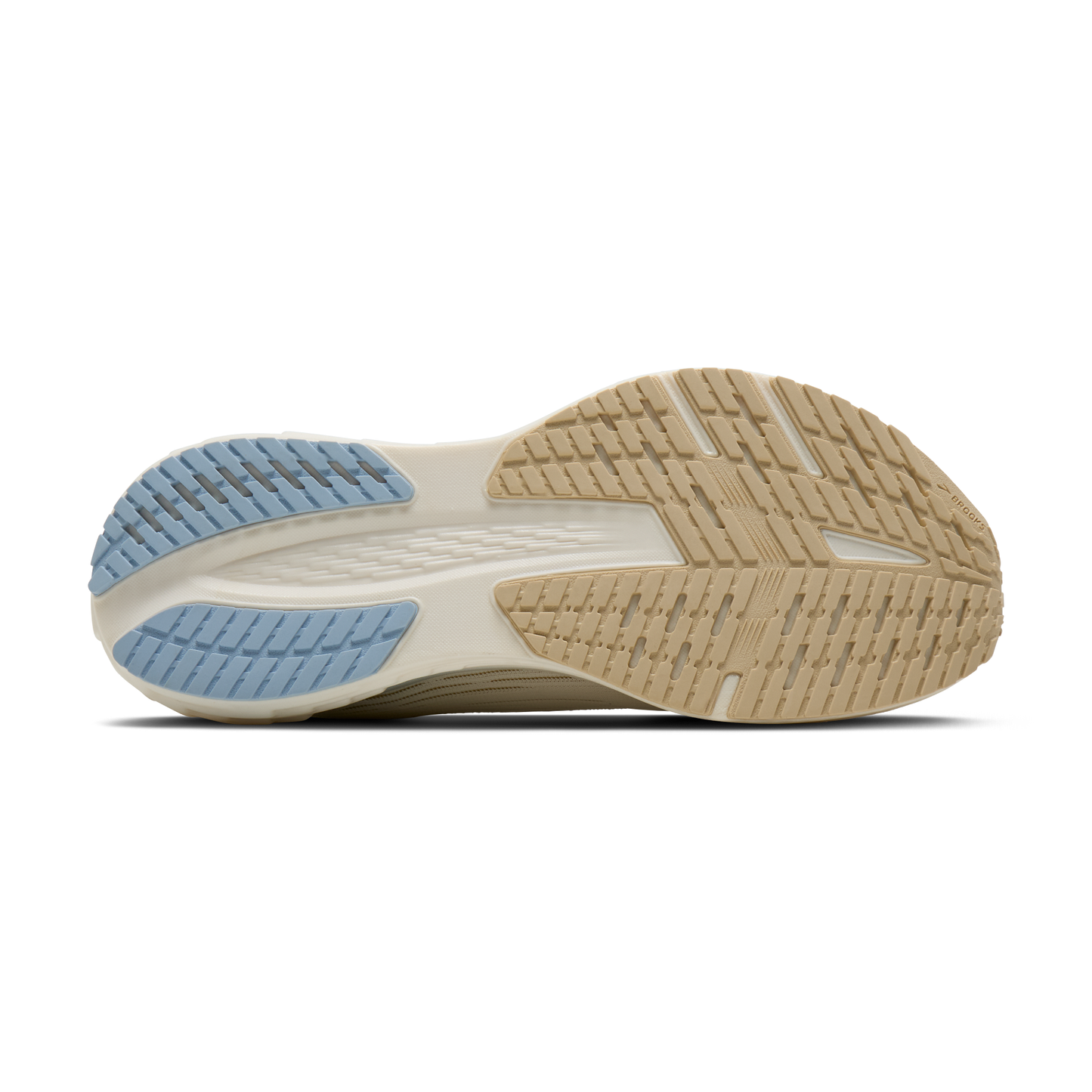 sole