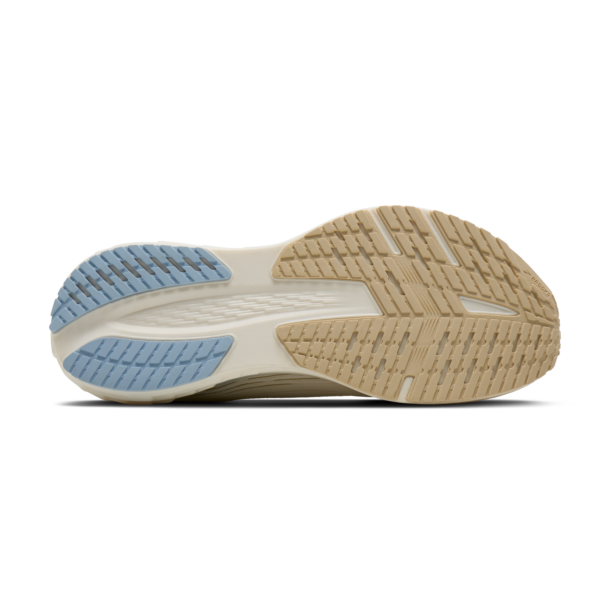 sole