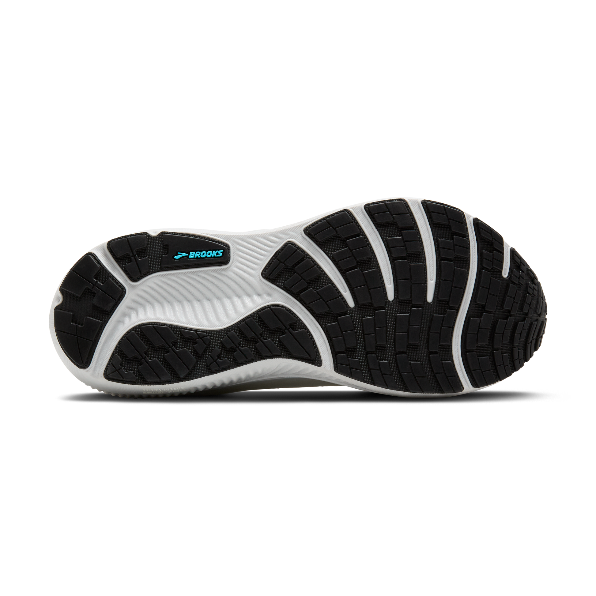 sole