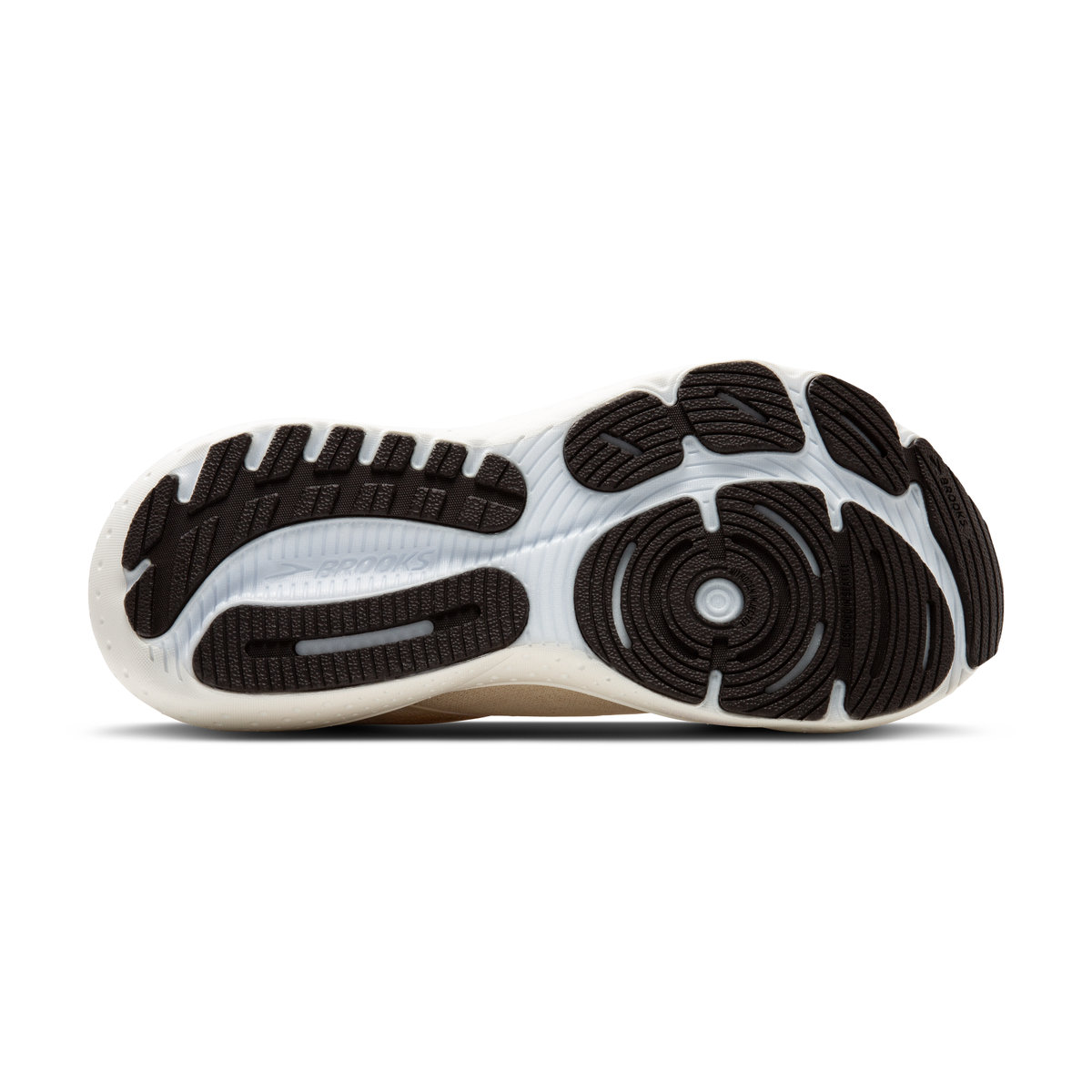 sole