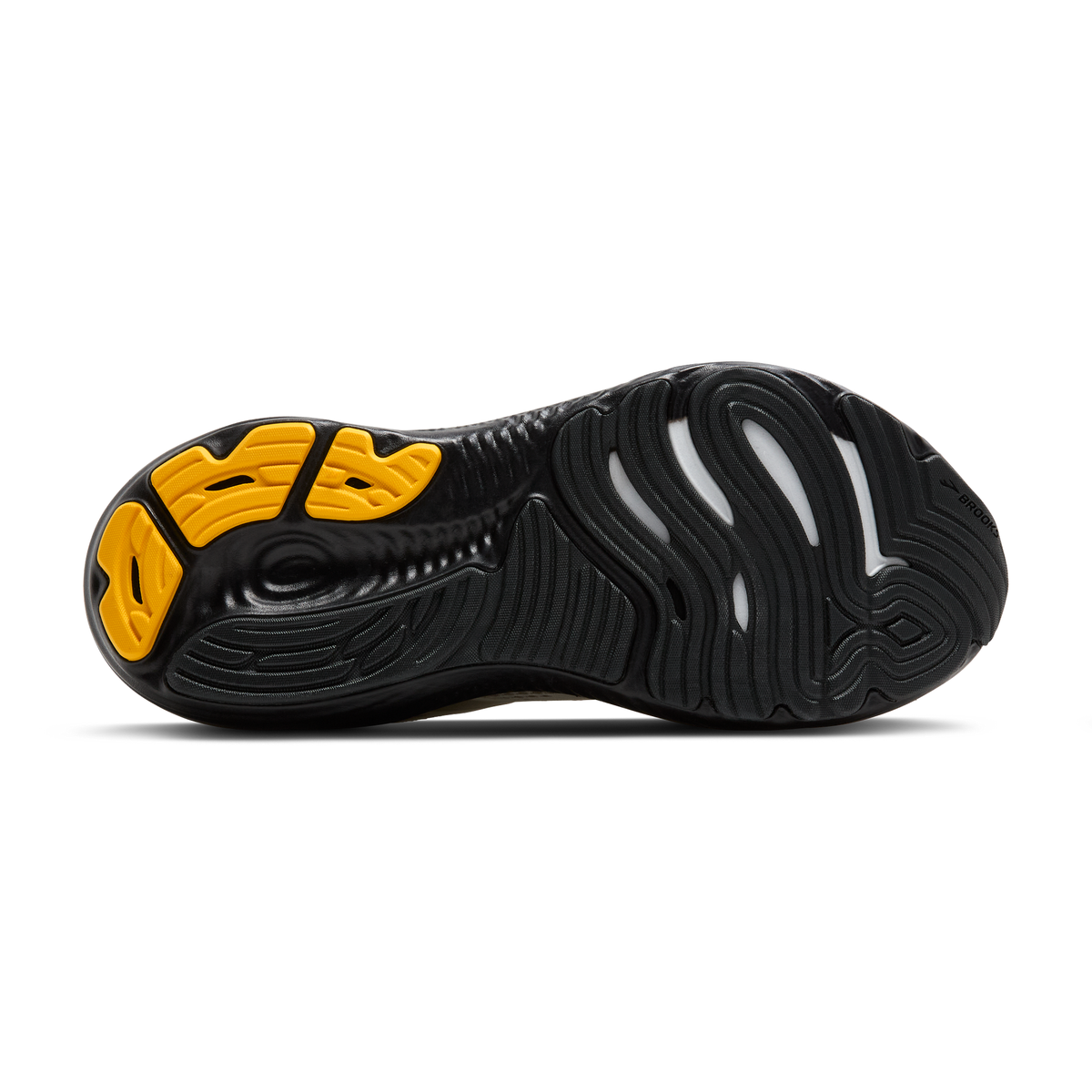 sole