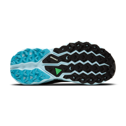 sole