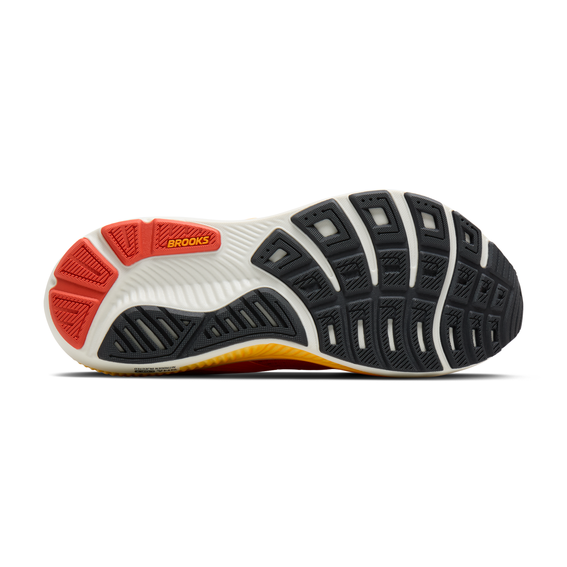 sole