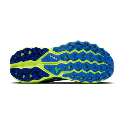 sole