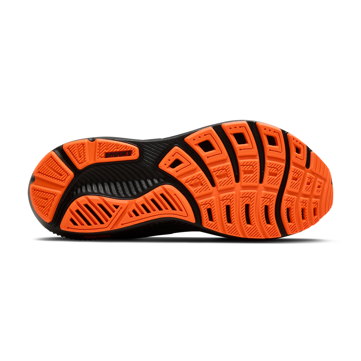 sole