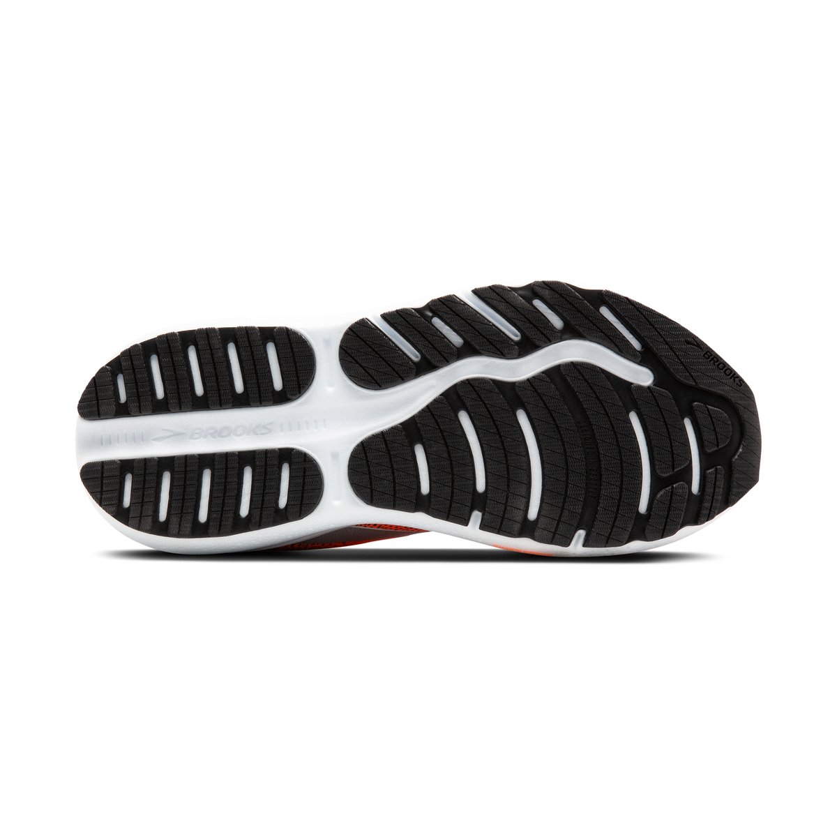 sole
