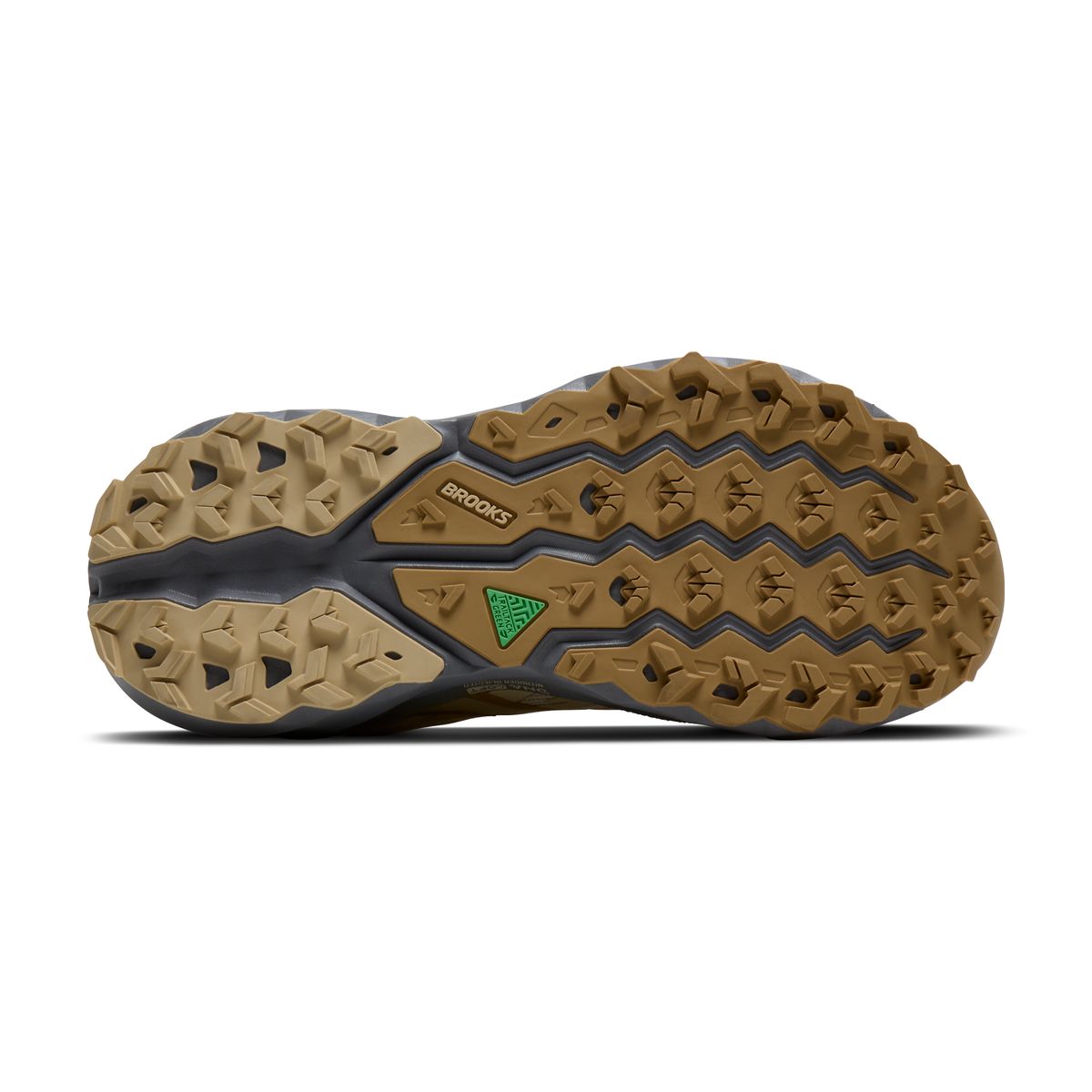 sole