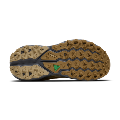 sole