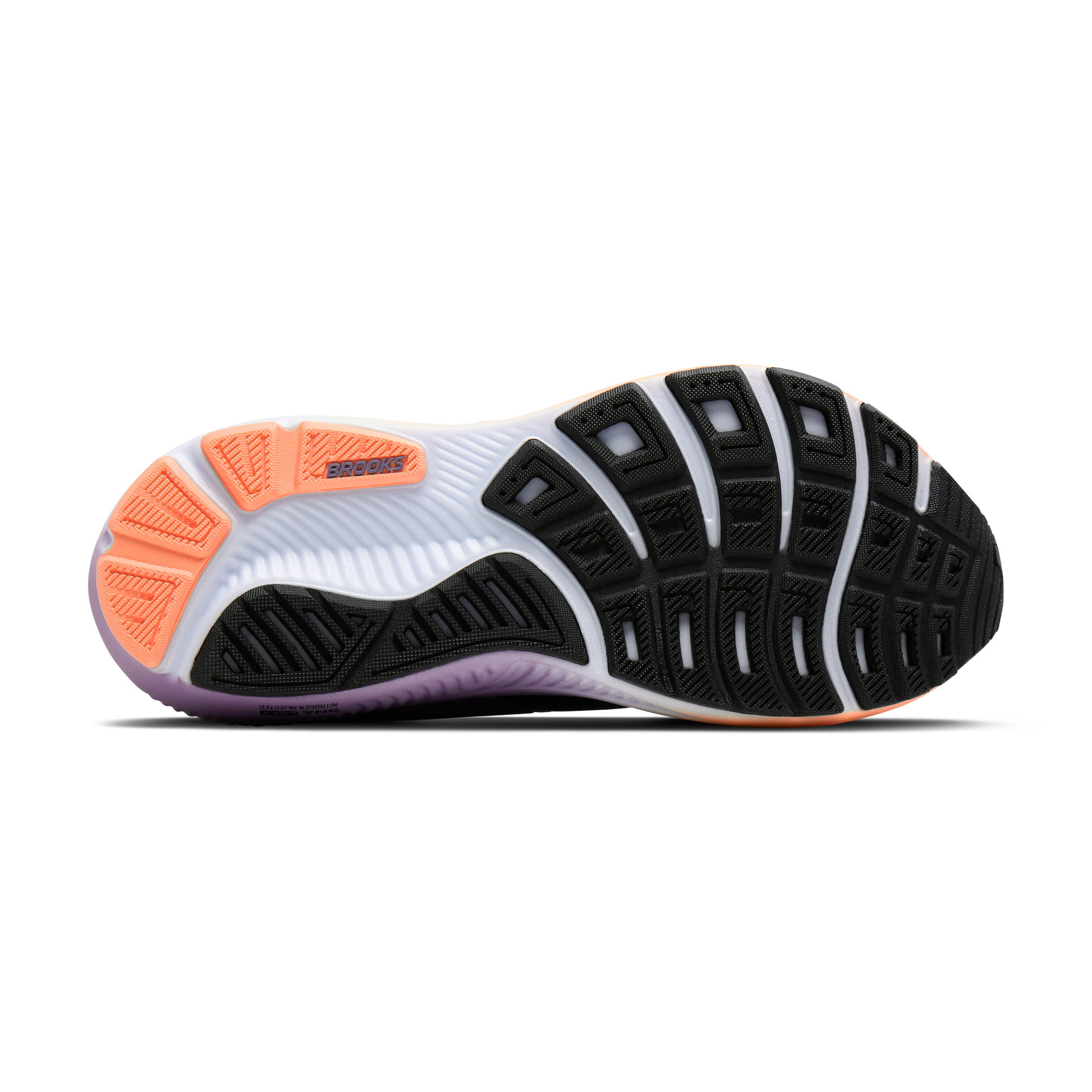 sole