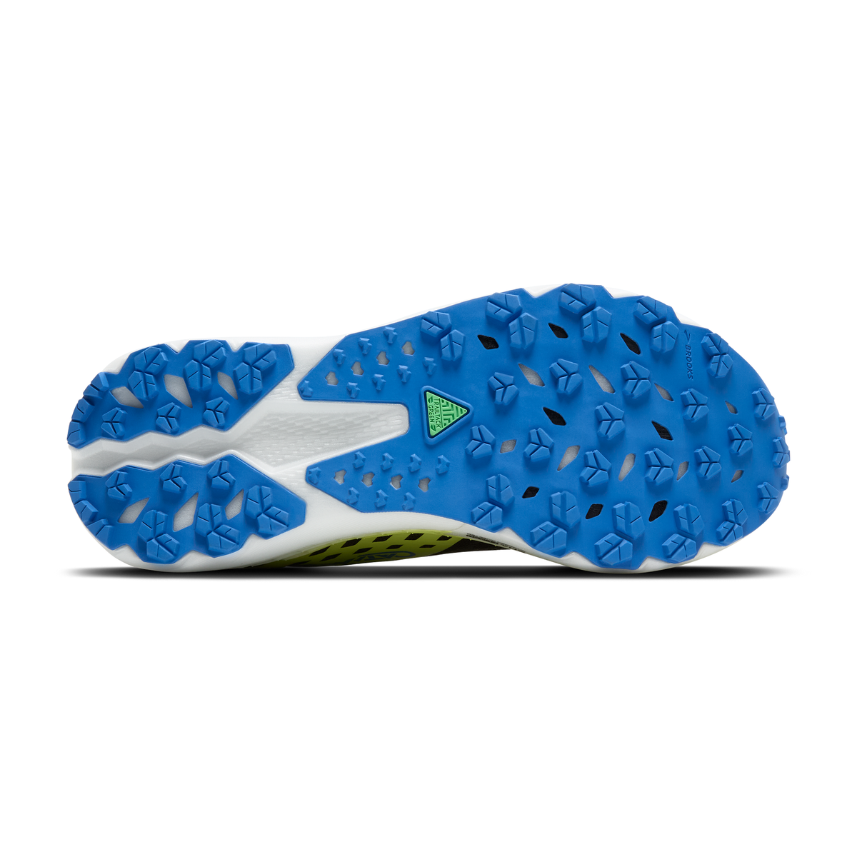 sole