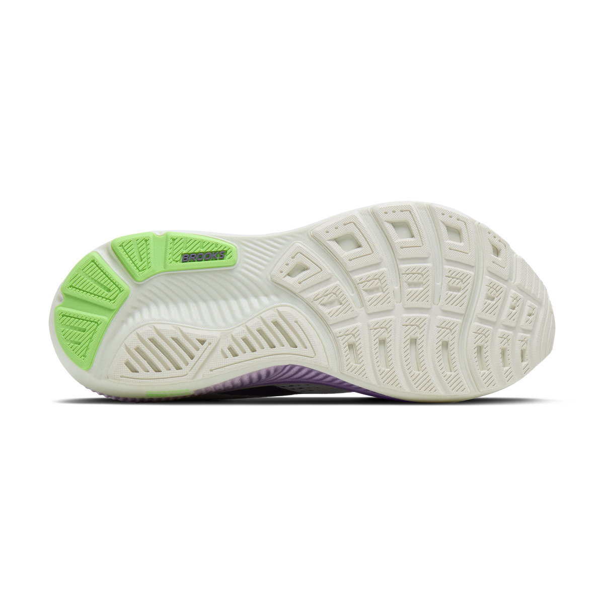 sole