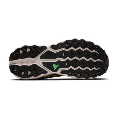 sole