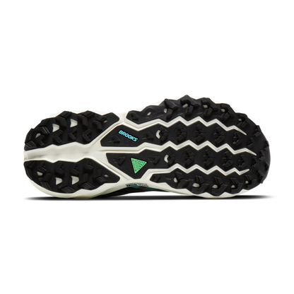 sole